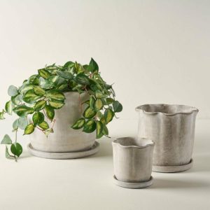 Garden | Alice Scalloped Cement Planter Decor Garden