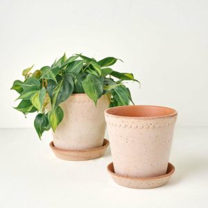 Garden | Scalloped Bergs Pot Decor Garden