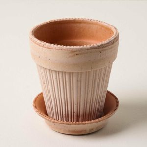 Garden | Terracotta Dotted Bergs Pot Decor Garden