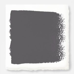 Home Paint | Autumn Gray – Interior Paint Gallon Home Paint Home Paint