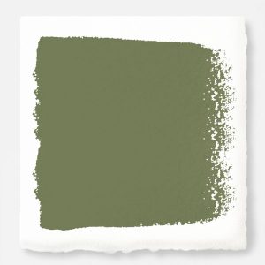 Home Paint | Celery Seed – Chalk Style Paint Home Paint Home Paint