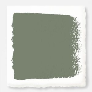 Home Paint | Olive Grove – Interior Paint Gallon Home Paint Home Paint