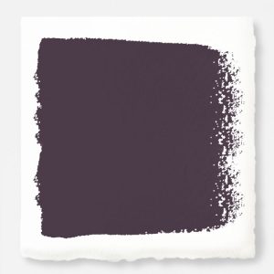 Home Paint | Plum Suede – Interior Paint Gallon Home Paint Home Paint