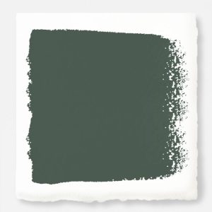 Home Paint | Regal Leaf – Chalk Style Paint Home Paint Home Paint