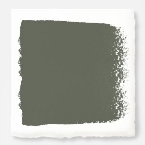 Home Paint | Wellington Green – Trim, Door + Cabinetry Paint Gallon Home Paint Home Paint