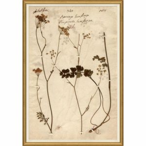 Wall Art | Pressed Floral V Decor Wall Art