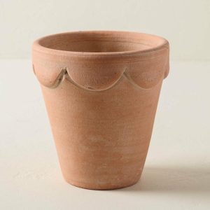 Garden | Terracotta Orleans Pot Decor Garden